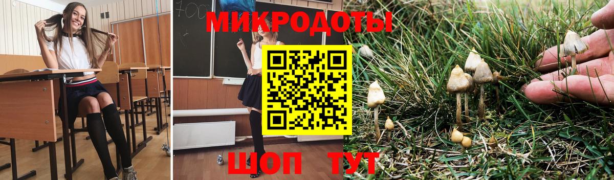 Псилоцибиновые грибы мицелий Волжск